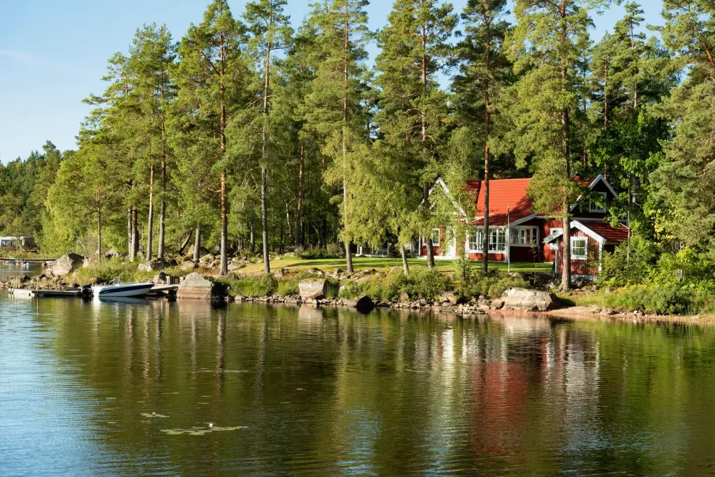 image-home-1